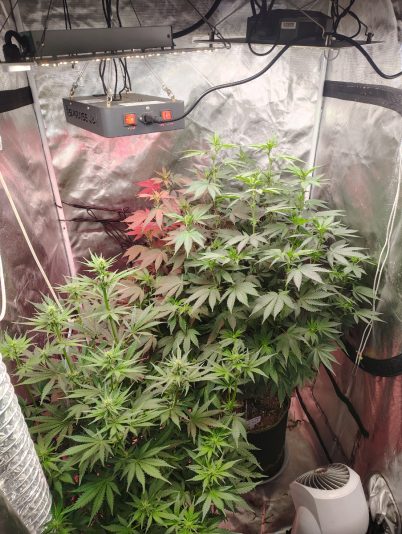 ac30a6cc-4dfb-4764-8811-d1c2d2496c51