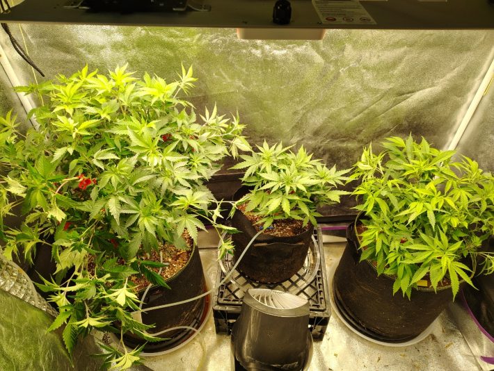 f475cb4d-baa3-4110-aaf1-8aca92fea833