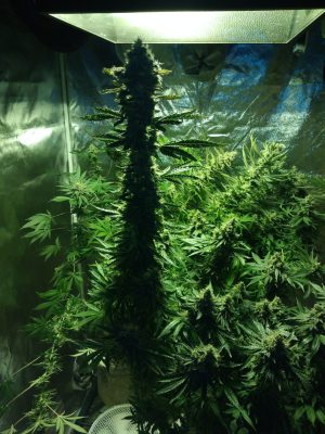 photo_2025-06-12_20-31-30