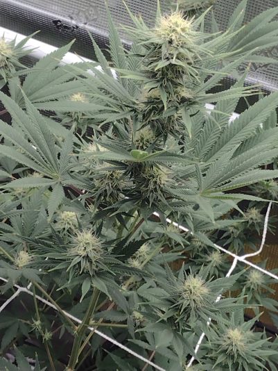 365c8998-9720-4573-9c92-ae6d5d30a522