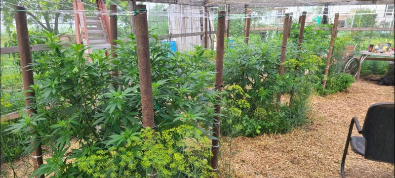 fd4f3fdc-b5c1-4d17-af9f-0f6110e84323