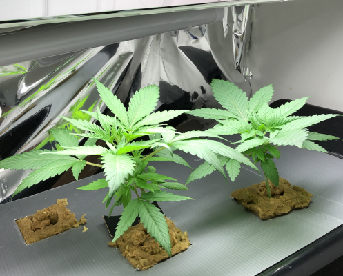 Screenshot 2025-06-16 at 19.40.18