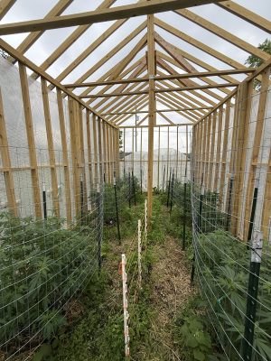 016FE762-BAD6-4E38-B446-111B6A0CD74C