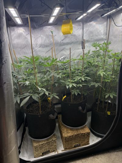 D23D1F71-B975-4B8F-B57B-9CF06F2CA903