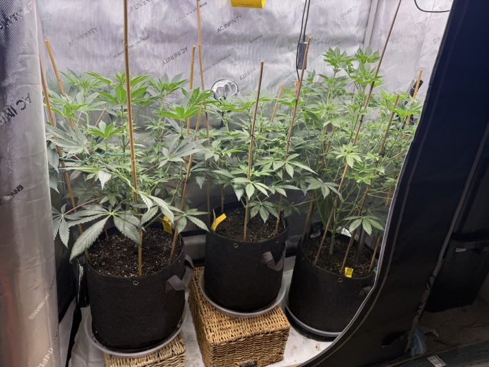 12AB264C-B2D2-4F56-9DDA-452202C4E92E