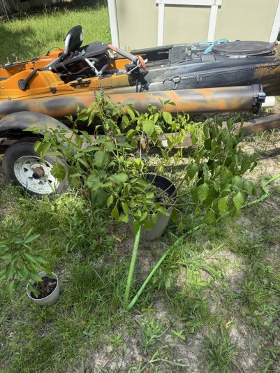 BD87D564-93E6-4086-9F58-148B05D2EDA2