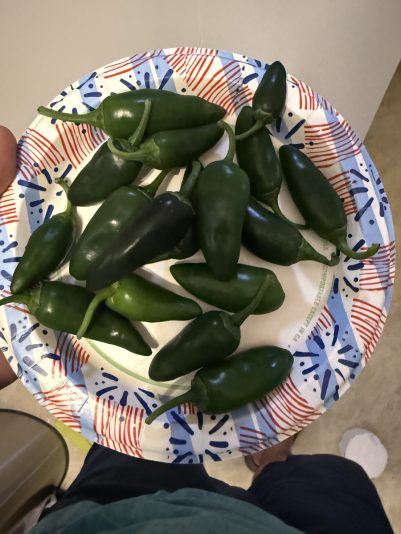 3911043F-B4AE-450C-998A-68FDD058560E