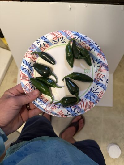 80B65A8B-DB8D-4E02-BCD4-F11F378F161E