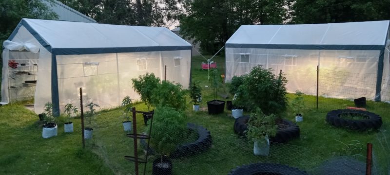 2a9c91c4-1bca-4f2b-8798-95a93eadb2e6