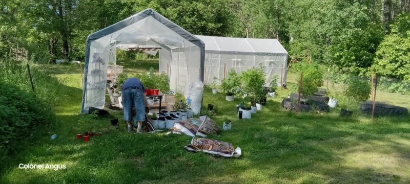 30f7edec-3f85-4288-81fb-47b55bbde5ed