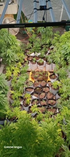 cd7b6819-e0d1-42a8-9962-4de145fc0f11