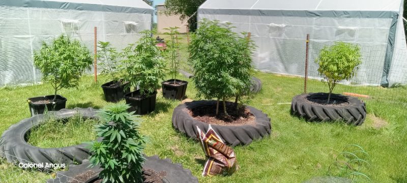 edd44445-32ab-4981-baf6-f2dec365e66c