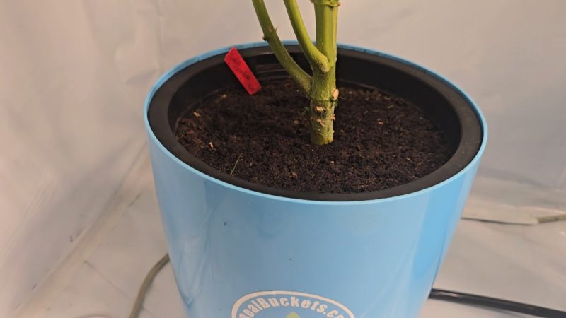 2ff39f04-c00d-4332-b102-c8ba5e955715