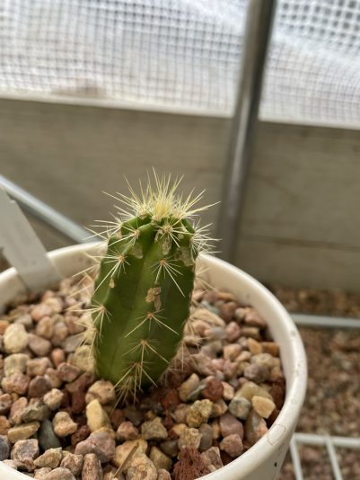 0562B78F-037D-41D1-94D7-5ACFBB78E2D3