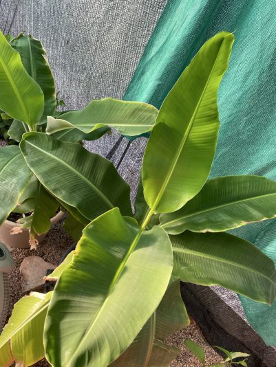 1415BF7B-722E-4DF5-A489-06DB087509F0