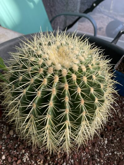 3386418E-3FC4-42AA-B4DF-367053C029ED