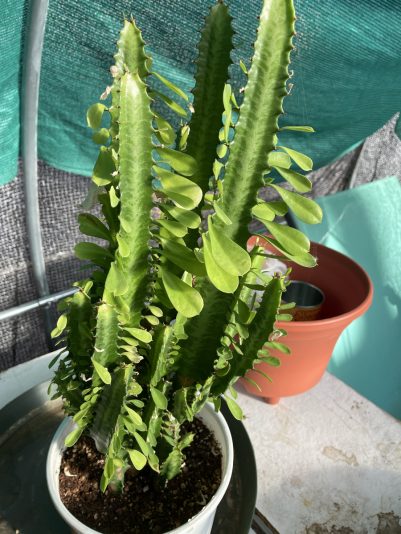 EE1AA7E8-1FA2-4099-9D51-B53E1DCD72DC