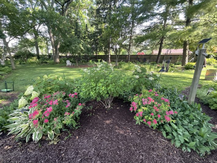 53B51CFA-A62C-46D9-9A41-6835361BB13E