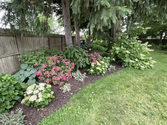 E93F161C-9972-4352-92D0-C5F44482C40F