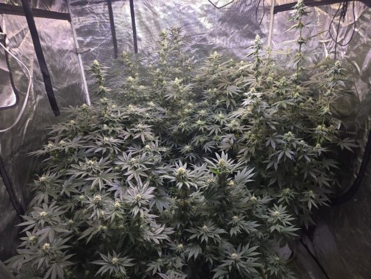 599aec54-2320-400f-bc7c-9d460d12c0e2