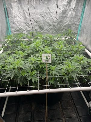 80C33CE4-EE08-4145-A66F-42EDE93B935A