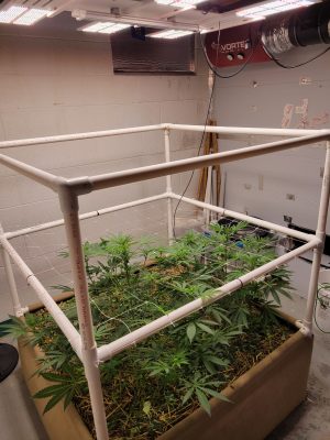 bad5918f-a459-4312-9f20-d2746347ad0b