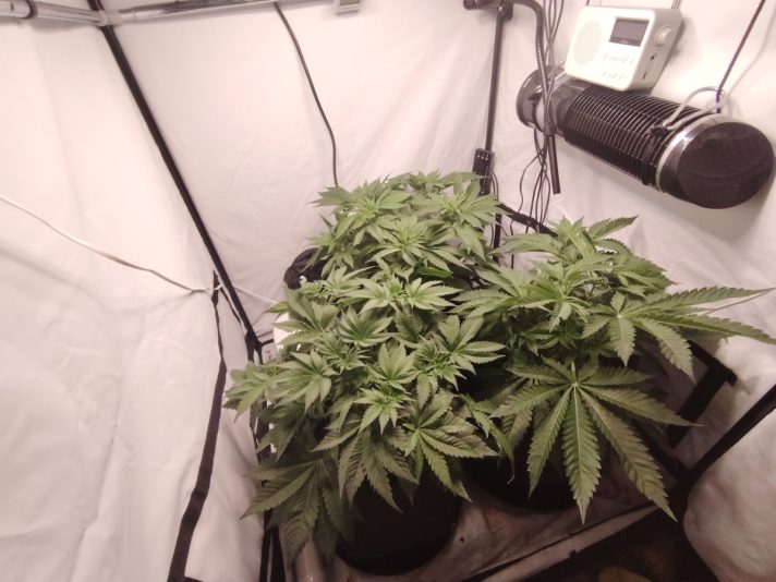 dd915119-bb30-475b-b460-ceb5f09da79f