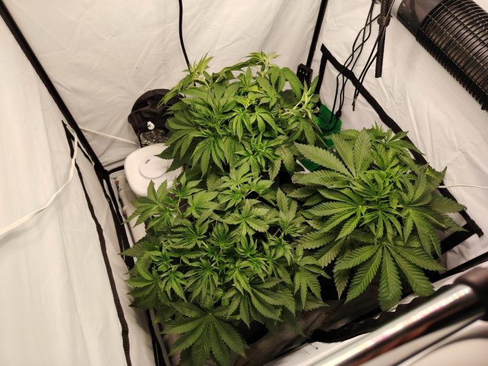 2e383117-fba3-4f20-b3f2-a0b3defca4db