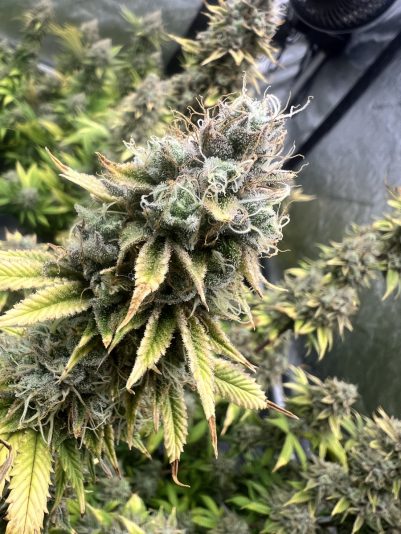 F47B489F-BD63-46C1-B23E-897DCA556285