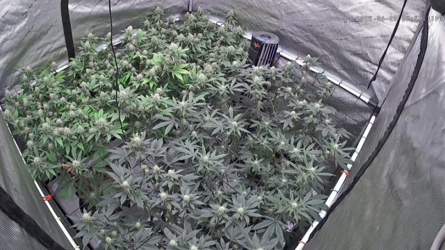 64f57e72-be08-44d1-88c0-436f8a2e2c25