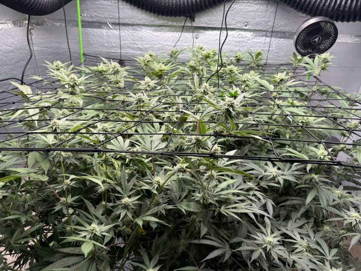 9A332C99-3441-474D-A117-1978BD782356