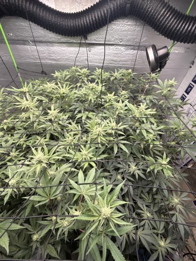 35334884-2E1E-4DF1-B380-A1F0EF819274