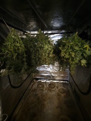 9162cd90-28d5-47f1-b65a-bf80a53205f4