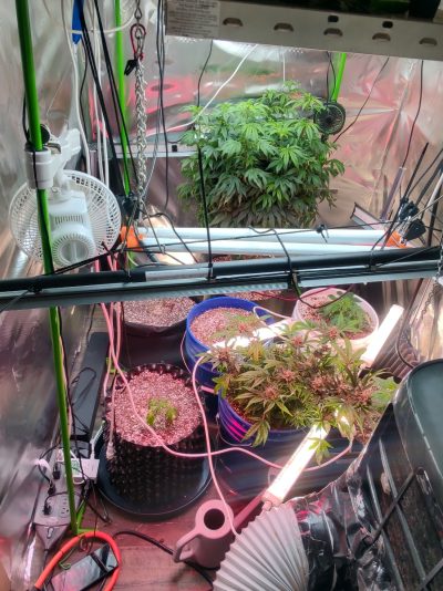 a36e3fde-3b21-404e-b9f2-7b959d8967fc