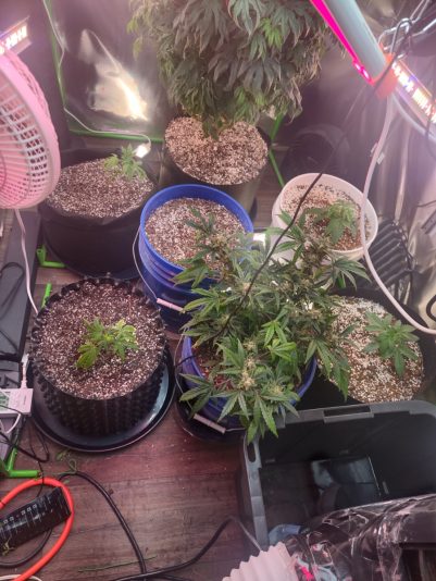 b6092851-8e4d-47c9-975a-dbab354b72f0