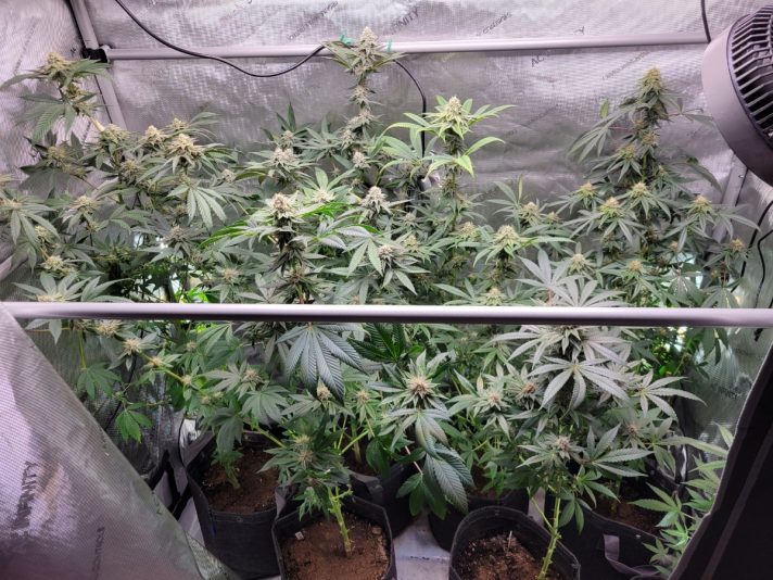 4a255f2e-1bdd-4698-b1be-32cfe3b76448