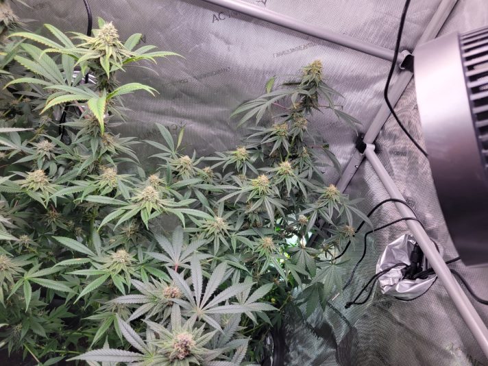 7d40461b-807e-484c-887f-3923022c47af