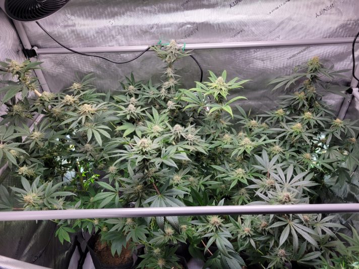 f3b2cd82-f2fd-4ba9-8f88-285ed5efba31