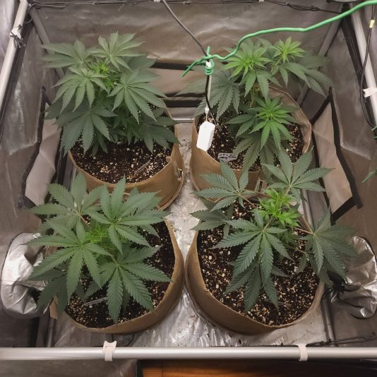 29586721-c09a-4ee7-885c-5934c78fca2e