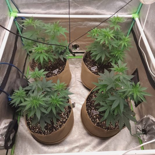 9eda9d19-0c3f-4657-b8f5-fe29da33ddc6