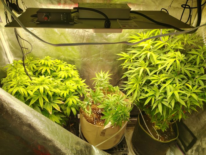 0d738cbd-2151-4aa1-953f-0d6826567e94