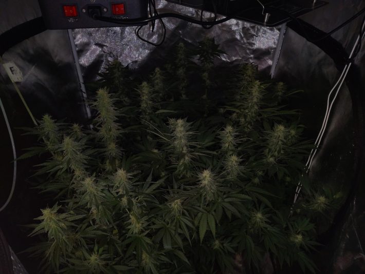 11ec924f-5e73-4ed2-9b88-6b8b1cf458f7