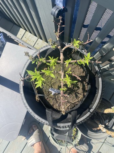 5AAF86EE-98AA-4493-8593-F39D9D49BF95