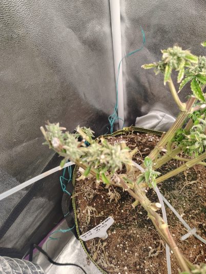 f6622b7c-8e6a-4bb0-b52a-04238fff32af