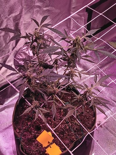 404d7e17-0a60-4322-8907-0bd11abcc09b