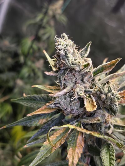 b3c2d93b-8466-4678-951e-59e1ee99304f