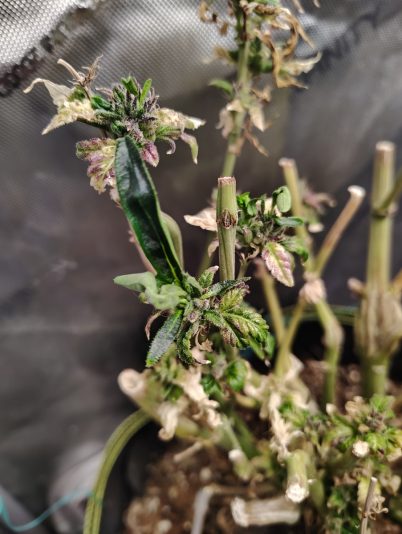 49c80822-a9d7-49eb-ae49-c625b07057df