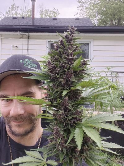 fc41f231-2a0a-4df7-b6e1-f3f828f7ef36