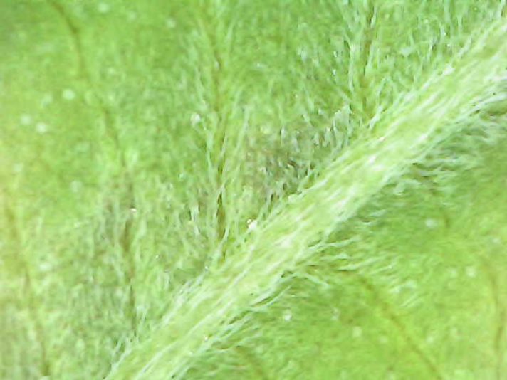 Photo_2025-07-02 17_06_02_811