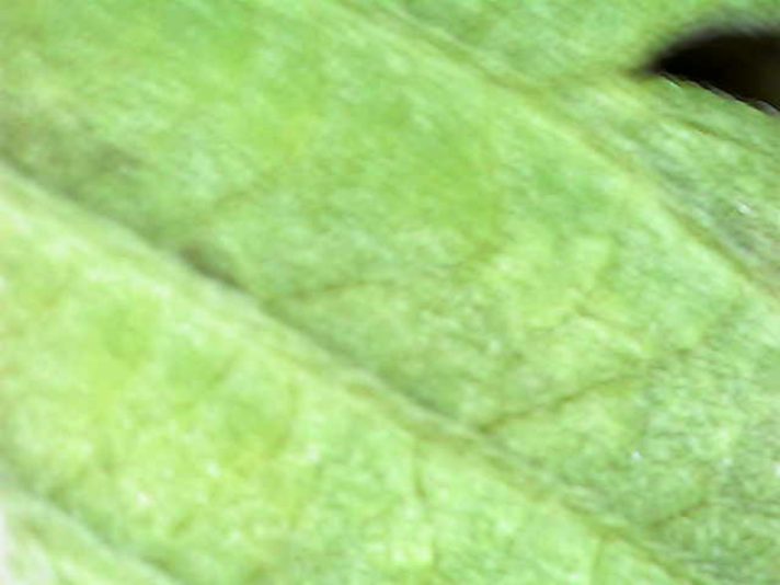 Photo_2025-07-02 17_03_43_508